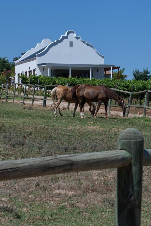 Dunstone Country House ウェリントン エクステリア 写真